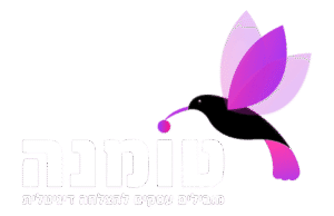 טומנה - סוכנות שיווק ואוטומציה