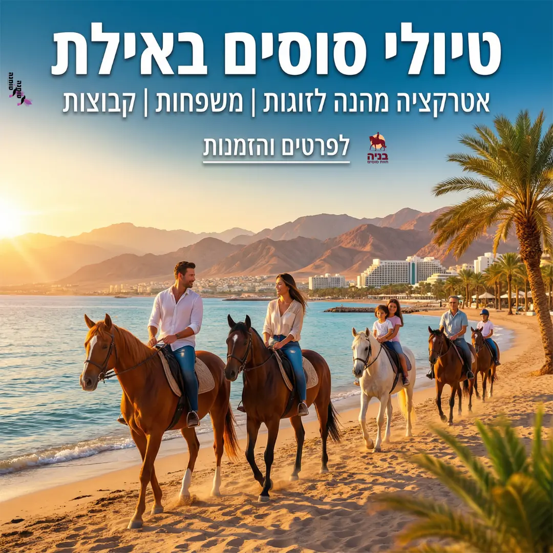 טיולי זוסים - קמפיין שיווק דיגיטלי