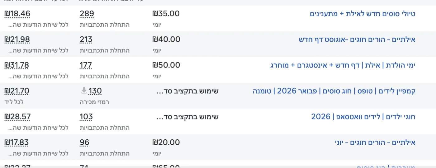 צילום מסך תוצאות ROI קמפיין שירותים מקצועיים